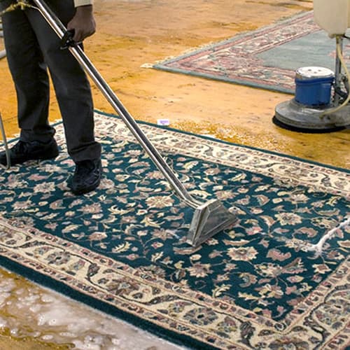 Carpet / Area Rugs